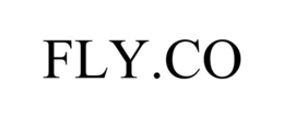 FLY.CO