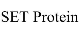 SET PROTEIN