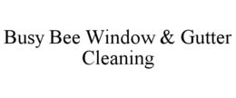 BUSY BEE WINDOW & GUTTER CLEANING