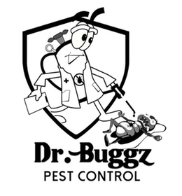 DR. BUGGZ PEST CONTROL