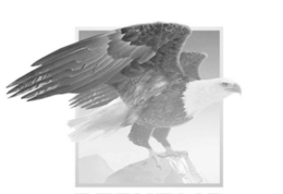 MELANGE PICTURES LLC