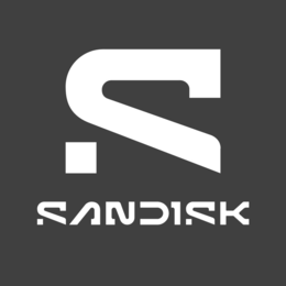 S SANDISK