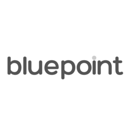 BLUEPOINT