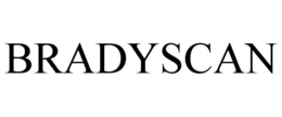 BRADY WORLDWIDE, INC. logo