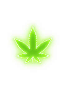 CANNABIS