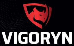 VIGORYN