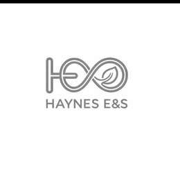 HAYNES E&S