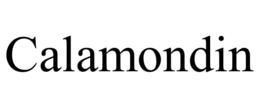 CALAMONDIN