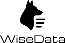 WISEDATA,AI