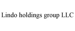 LINDO HOLDINGS GROUP LLC