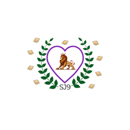 SJ9