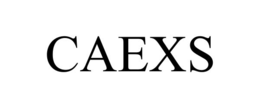 CAEXS