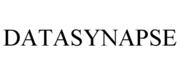 DATASYNAPSE