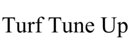TURF TUNE UP