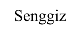SENGGIZ