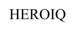 RSI IP HOLDING, LLC logo